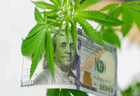 The Evolution of Legal Cannabis Markets Around the World